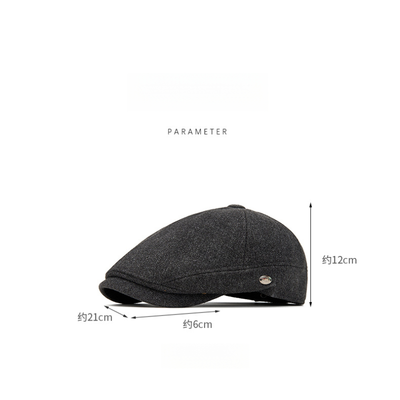 Men's Autumn Winter Wool Blend - Beret French Wool reseña y precio